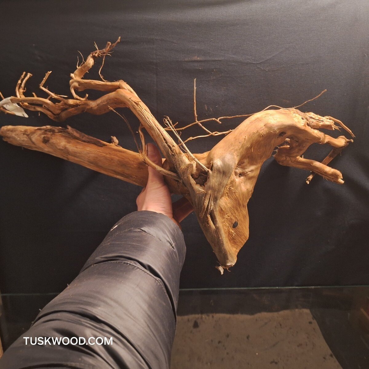 Tuskwood Aquariumrot WYSIWYG Echt bogwood Uniek 59 cm NrT17