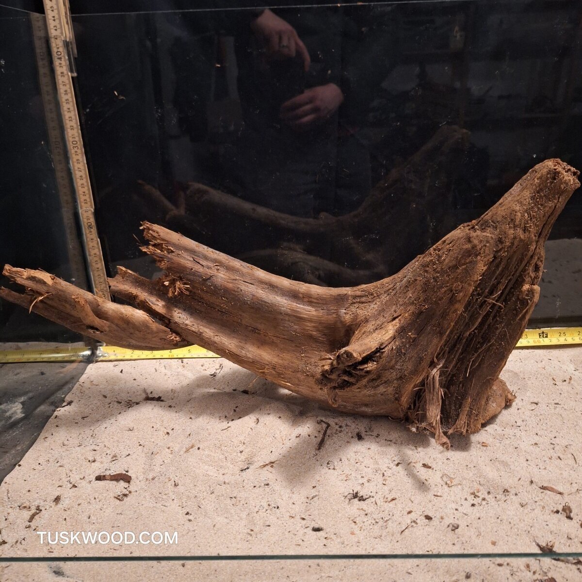 Tuskwood Aquariumrot WYSIWYG Echt bogwood Uniek 45 cm NrT24