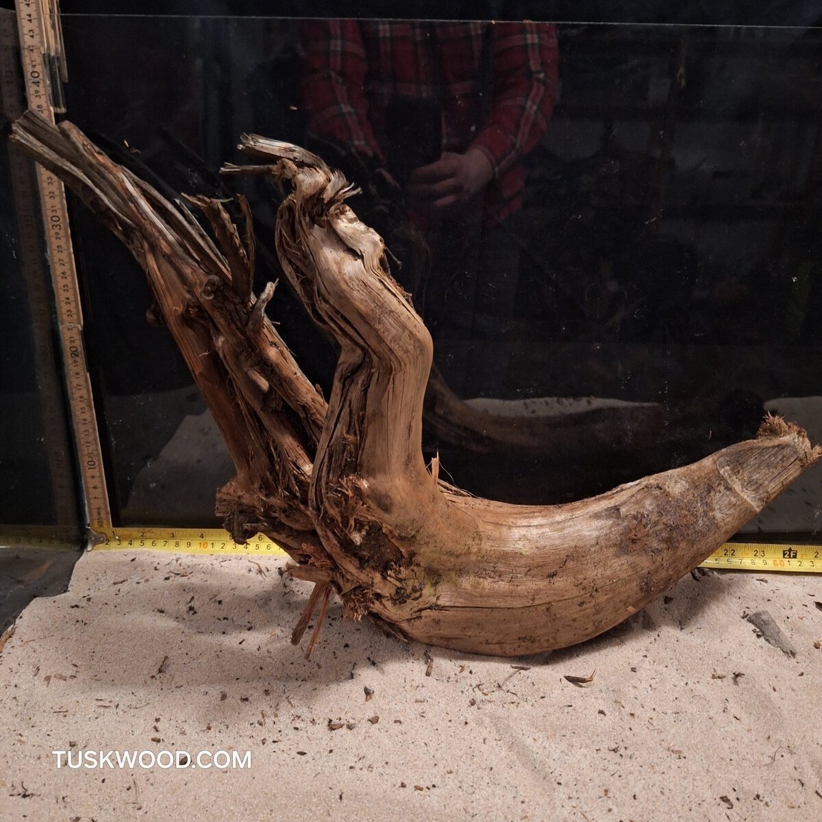Tuskwood Aquarium-Zierholz WYSIWYG Echtes Bogwood Einzigartig 60 cm NrT26