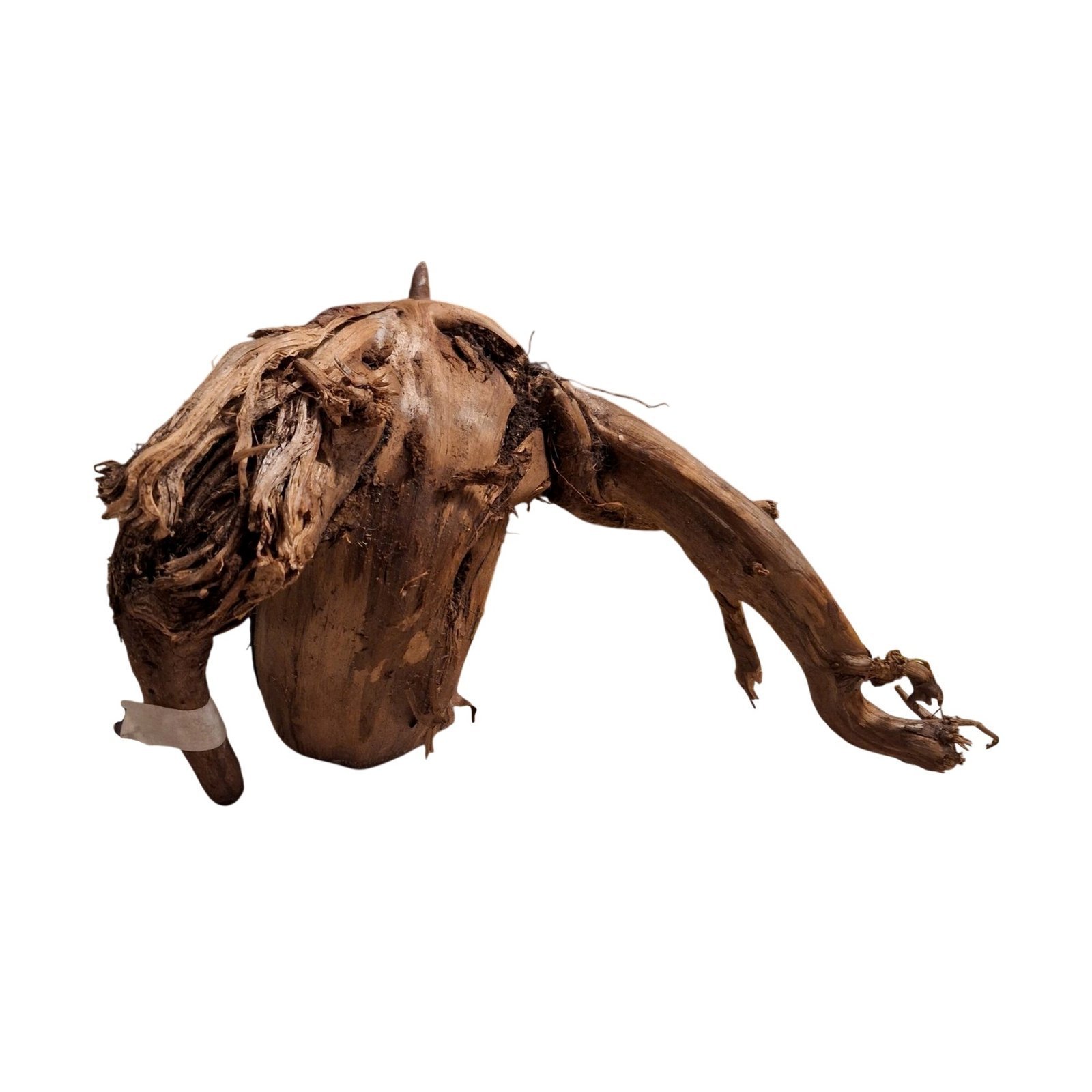 Tuskwood Akvarierot WYSIWYG Äkta Bogwood Unik 30 cm NrT29