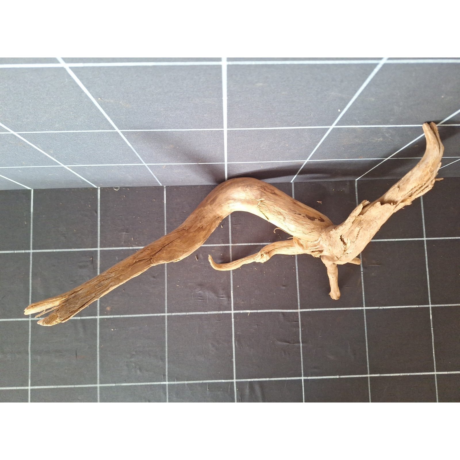 Tuskwood akvarierot i äkta bogwood, 40 cm, P162618