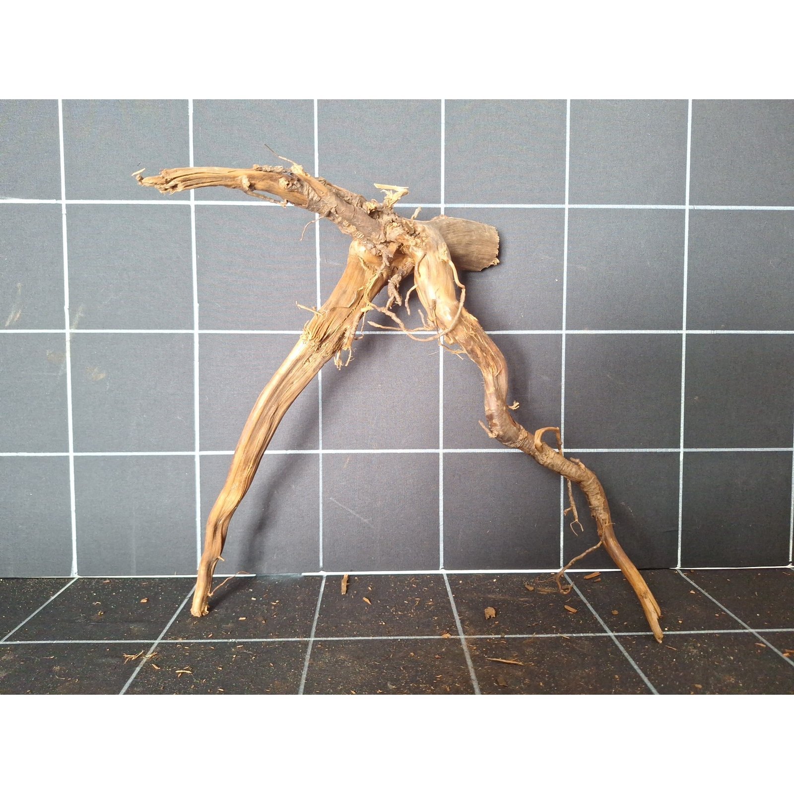 Tuskwood akvarierot i äkta bogwood, 32 cm, P072618