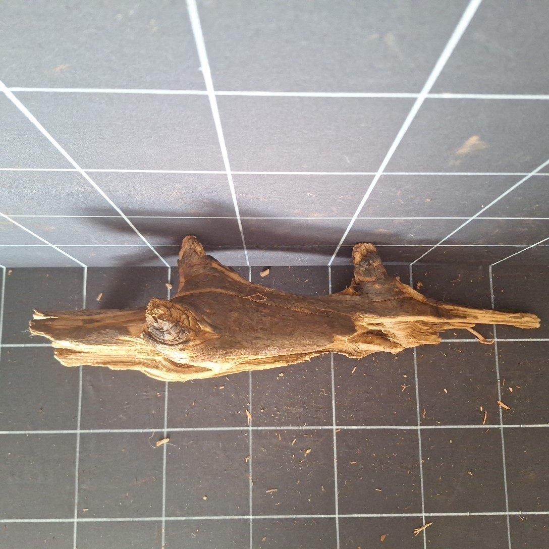 Tuskwood akvarierot äkta bogwood 57 cm P042619 sedd ovanifrån