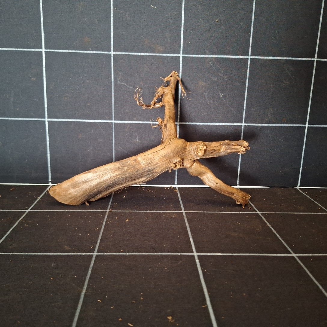 Tuskwood-aquariumwortel WYSIWYG van echt bogwood 28 cm P072619
