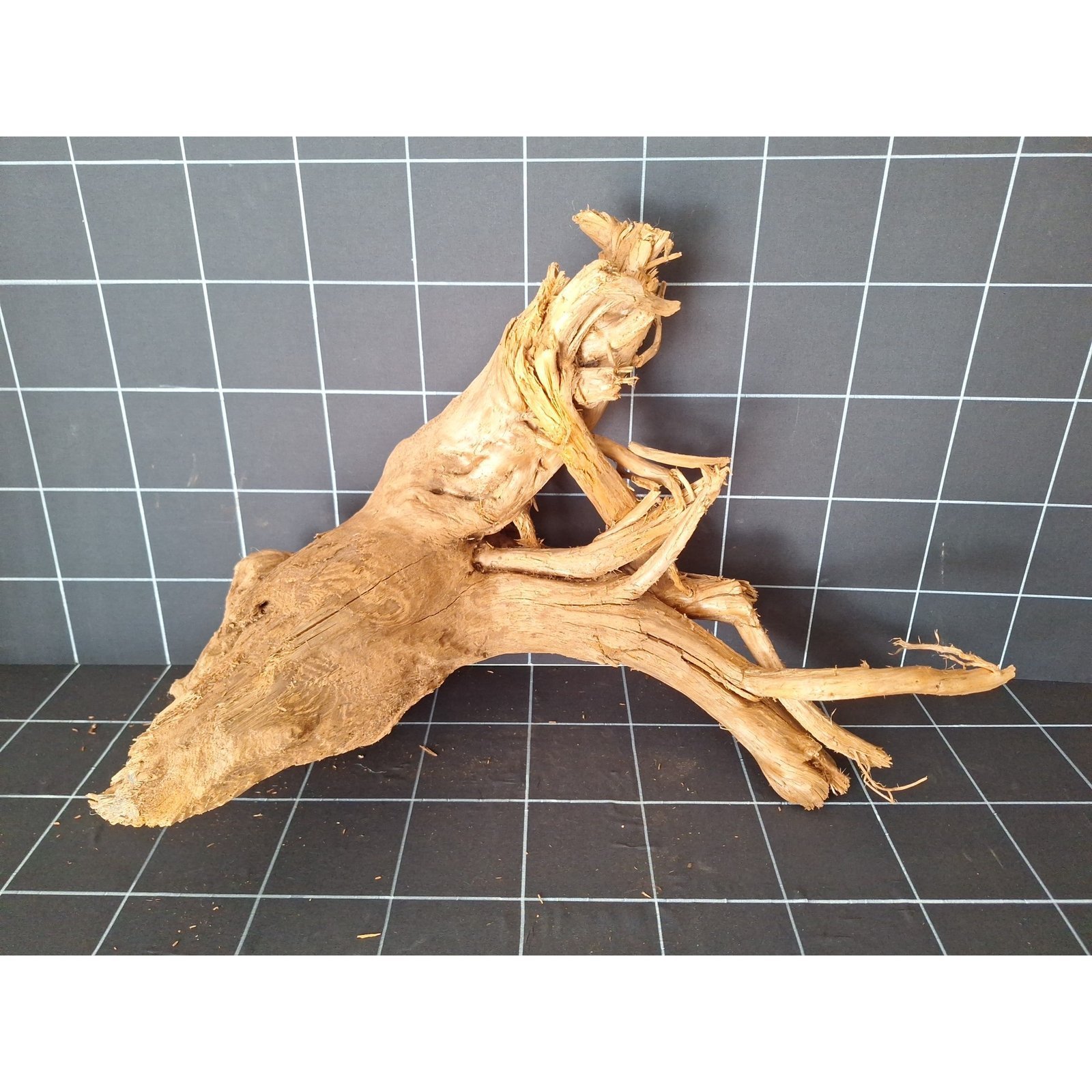 Tuskwood akvarierot i äkta bogwood, 67 cm, P082618