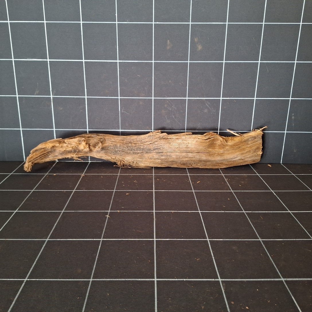 Tuskwood genuine bogwood aquarium root, 60 cm P202619, rear view.