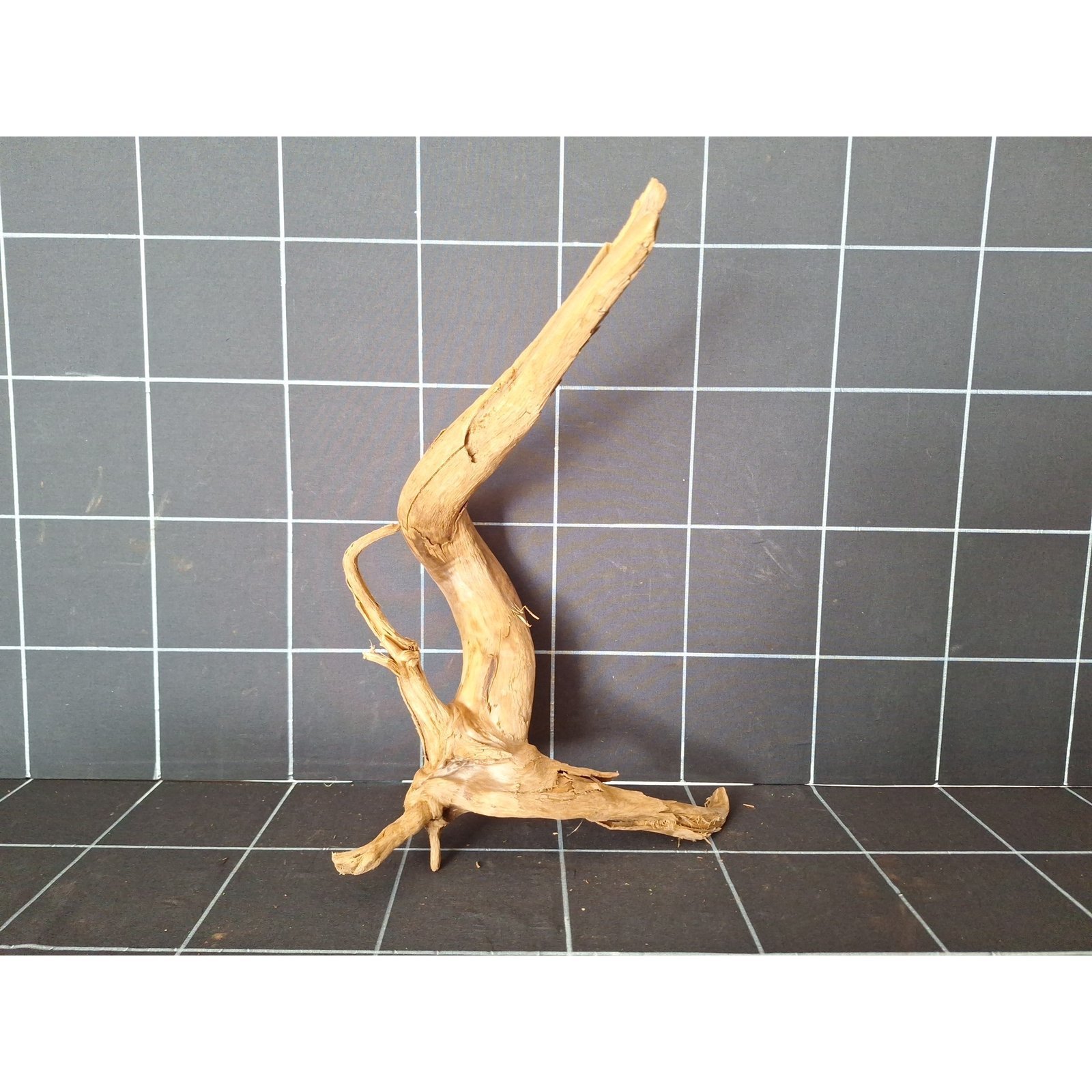 Tuskwood akvarierot i äkta bogwood, 40 cm, P162618