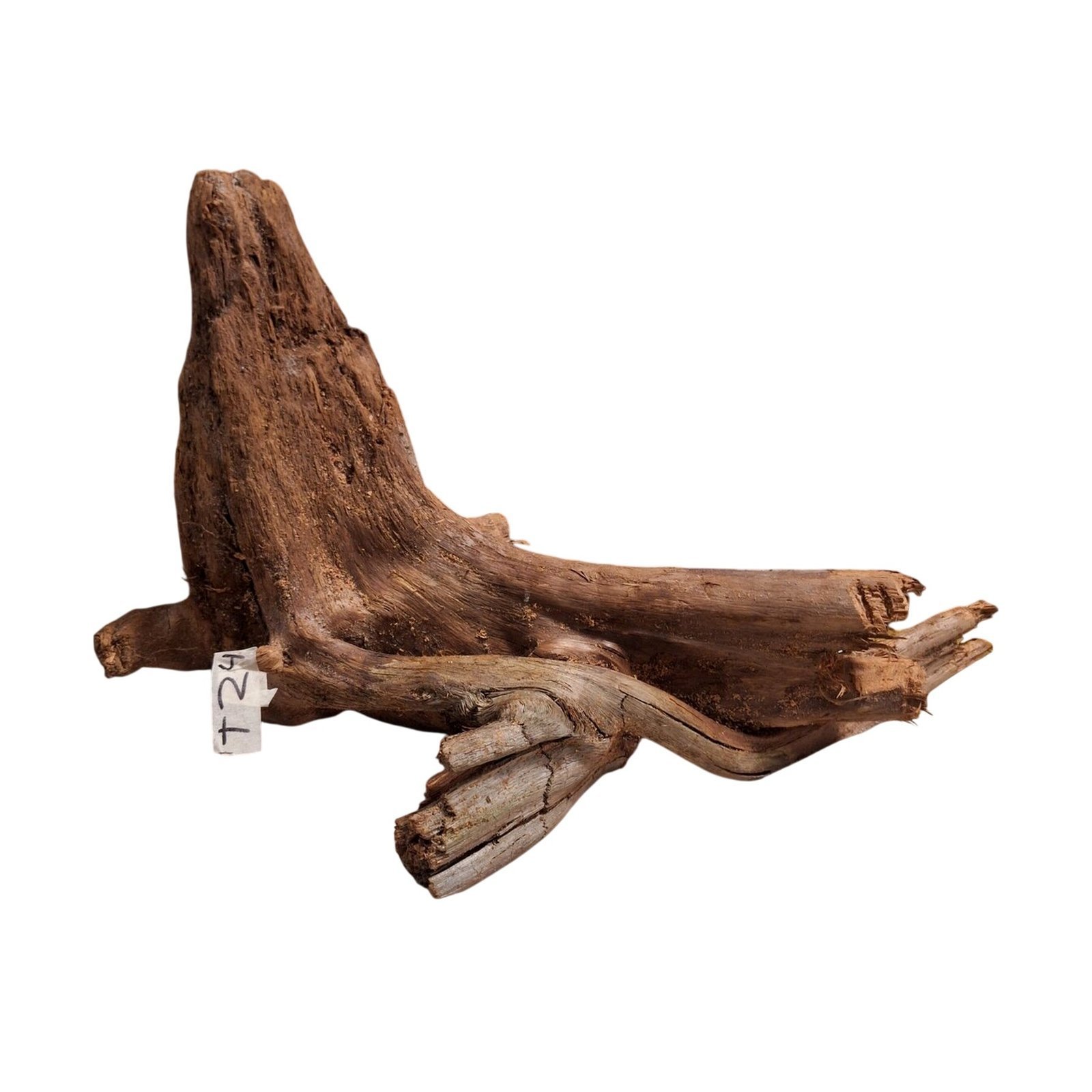 Tuskwood Aquariumrot WYSIWYG Echt bogwood Uniek 45 cm NrT24