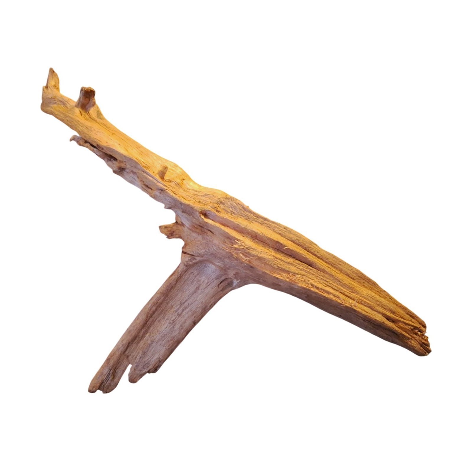 Tuskwood akvarierot i äkta bogwood, 68 cm, P222618