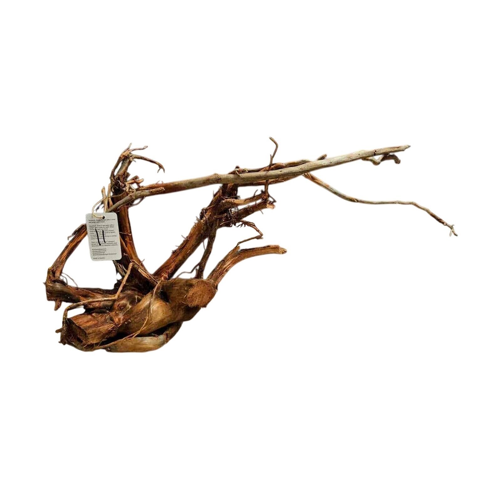 Tuskwood Aquariumrot WYSIWYG Echt Bogwood Uniek 55 cm nr. 11A