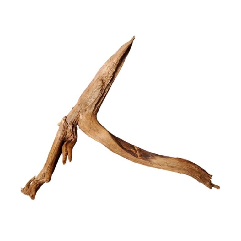 Sold Tuskwood aquarium root P132620, white-background image, approx. 43 cm