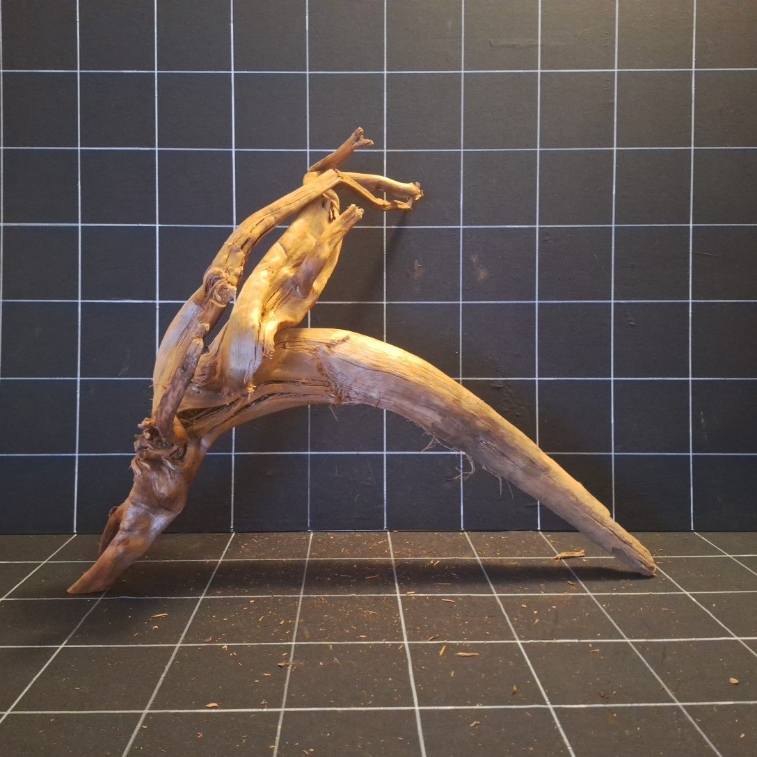 Tuskwood akvarierot i äkta bogwood, 59 cm, P252618
