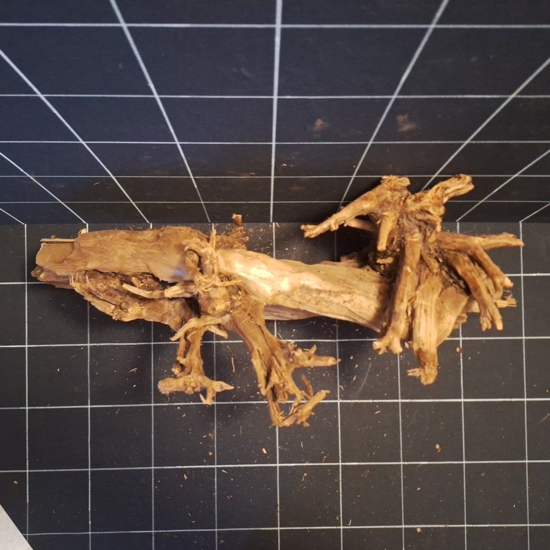 Tuskwood akvarierot i äkta bogwood, 67 cm, P272618