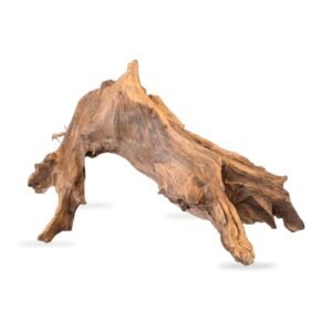 Tuskwood Aquarienwurzel WYSIWYG Echtes Bogwood Einzigartig 46 cm 082638