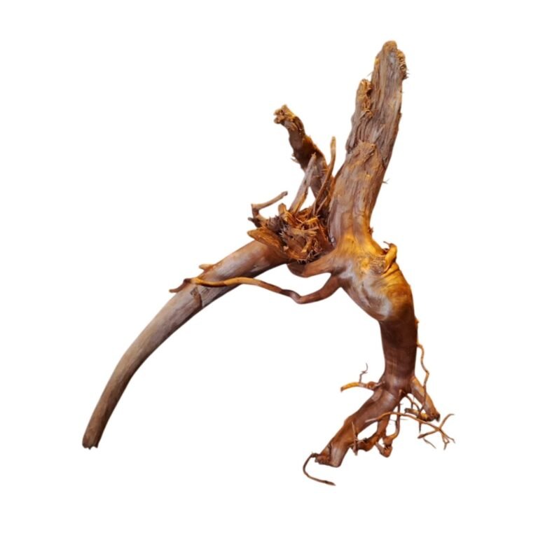 Sold Tuskwood aquarium root P202620, white-background image, approx. 35 cm
