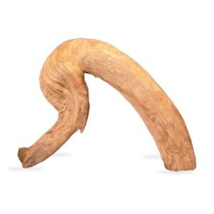 Tuskwood Aquarienwurzel WYSIWYG Echtes Bogwood Einzigartig 33 cm 102638