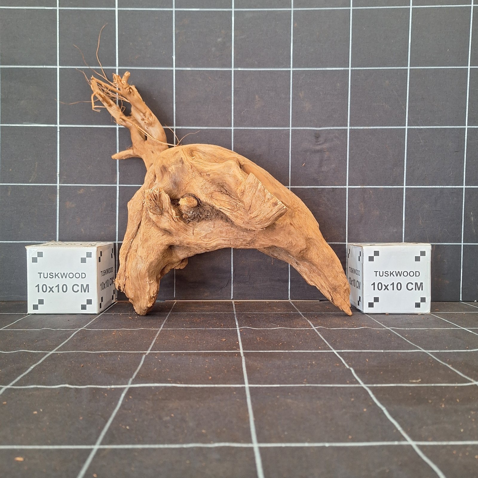 Tuskwood Akvarierot WYSIWYG Äkta Bogwood Unik 39 cm 112638 – Bild 2