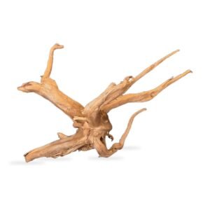 Tuskwood Aquarienwurzel WYSIWYG Echtes Bogwood Einzigartig 46 cm 142638