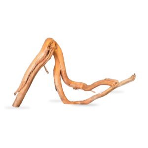 Tuskwood Akvaariojuuri WYSIWYG Aito Bogwood Ainutlaatuinen 43 cm 152638