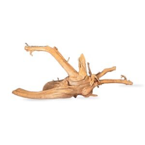 Tuskwood Aquarienwurzel WYSIWYG Echtes Bogwood Einzigartig 40 cm 162638