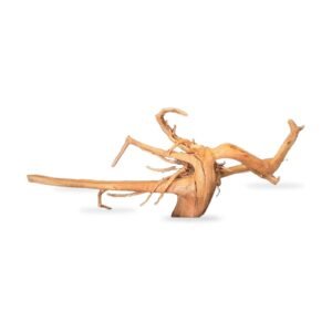 Tuskwood Akvarierot WYSIWYG Äkta Bogwood Unik 55 cm 182638
