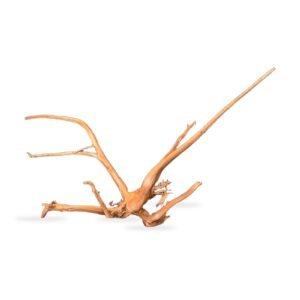 Tuskwood Akvarierot WYSIWYG Äkta Bogwood Unik 53 cm 192638