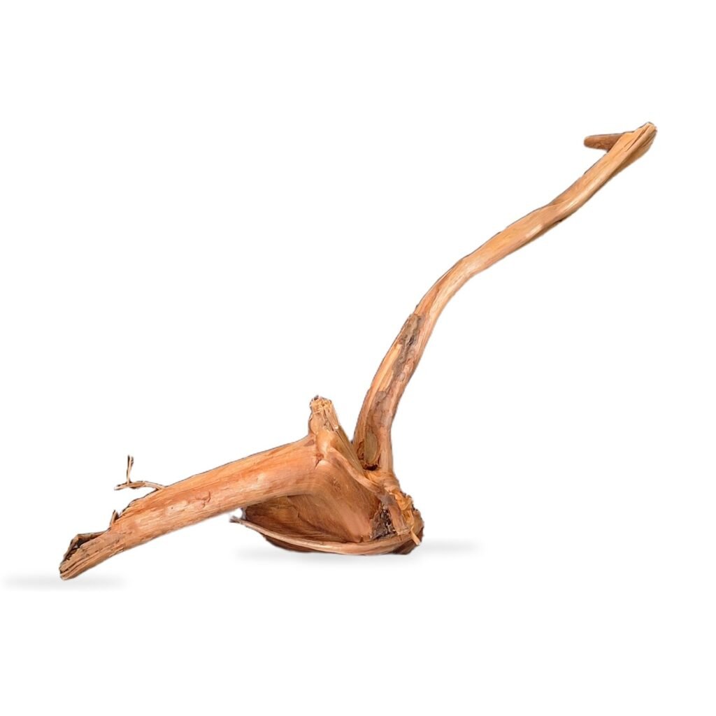 Tuskwood Aquarium Root WYSIWYG Genuine Bogwood Unique 31 cm 202638