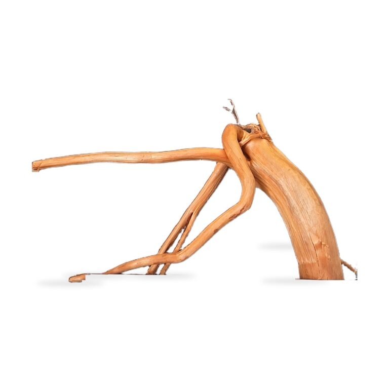Tuskwood Akvarierot WYSIWYG Äkta Bogwood Unik 28 cm 212638