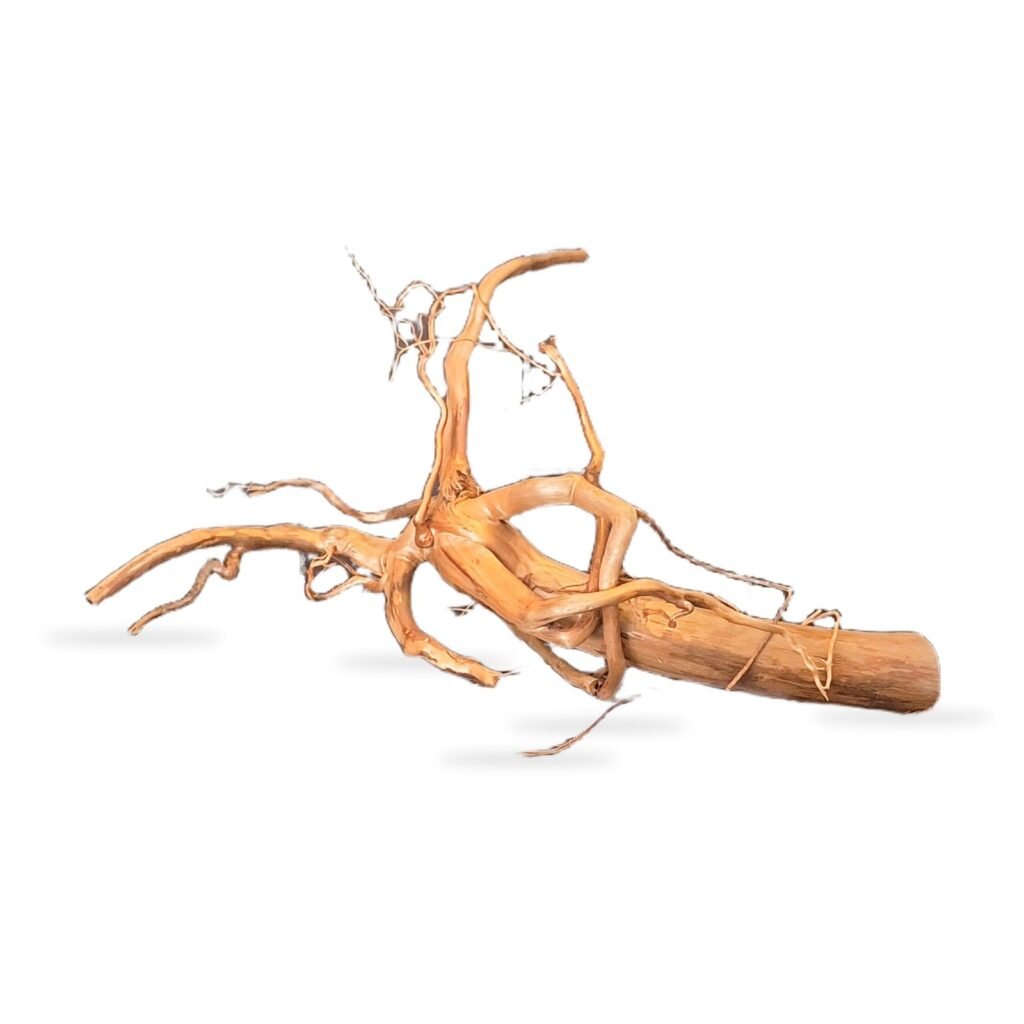 Tuskwood Aquarium Root WYSIWYG Genuine Bogwood Unique 32 cm 222638