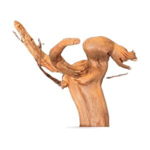 Tuskwood Akvarierot WYSIWYG Äkta Bogwood Unik 19 cm 232638