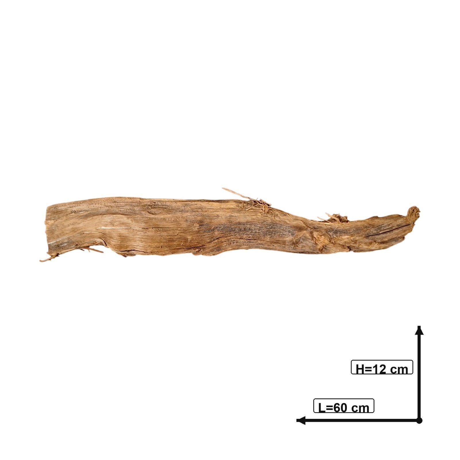 Måttsatt bild av Tuskwood akvarierot äkta bogwood 60 cm P202619
