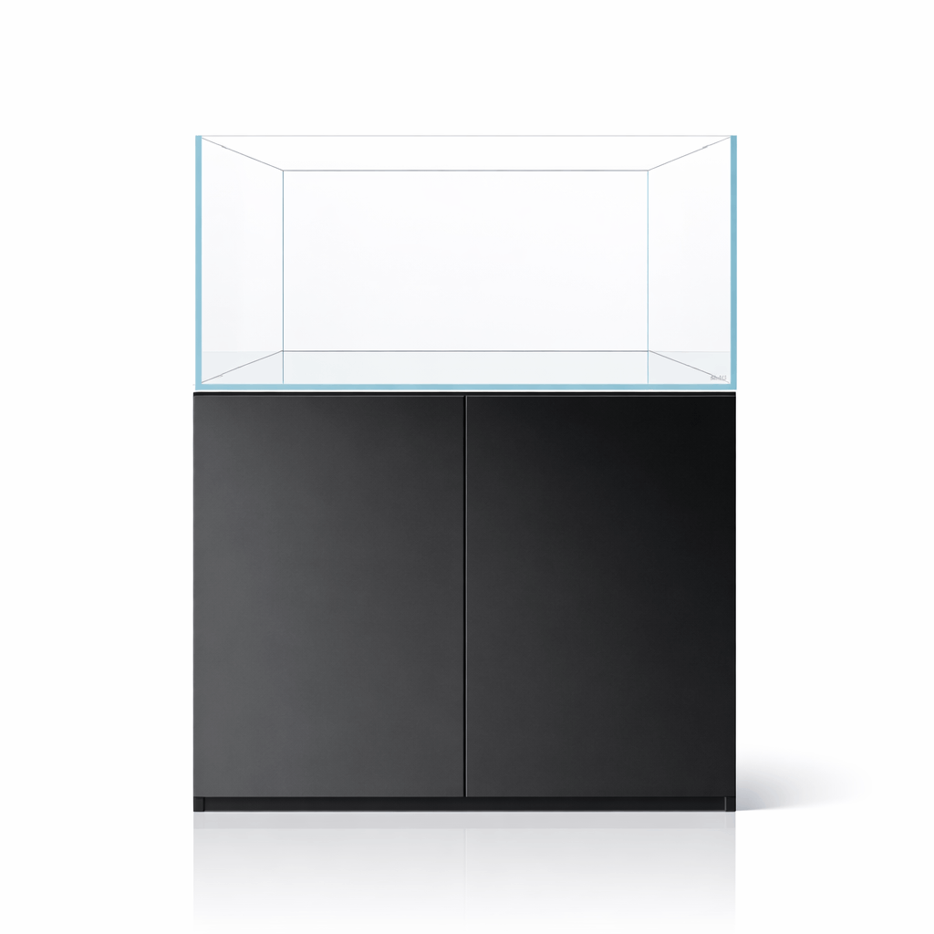Blau Gran Cubic Absolute AR Vision 122 with black cabinet