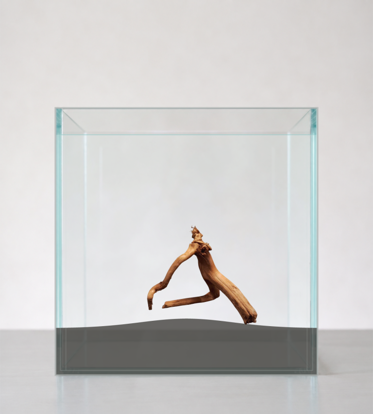 Sold Tuskwood aquarium root P362620, AI inspiration image, approx. 14 cm