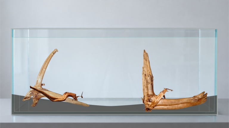 Sold Tuskwood aquarium root P232620, AI inspiration image, approx. 34 cm