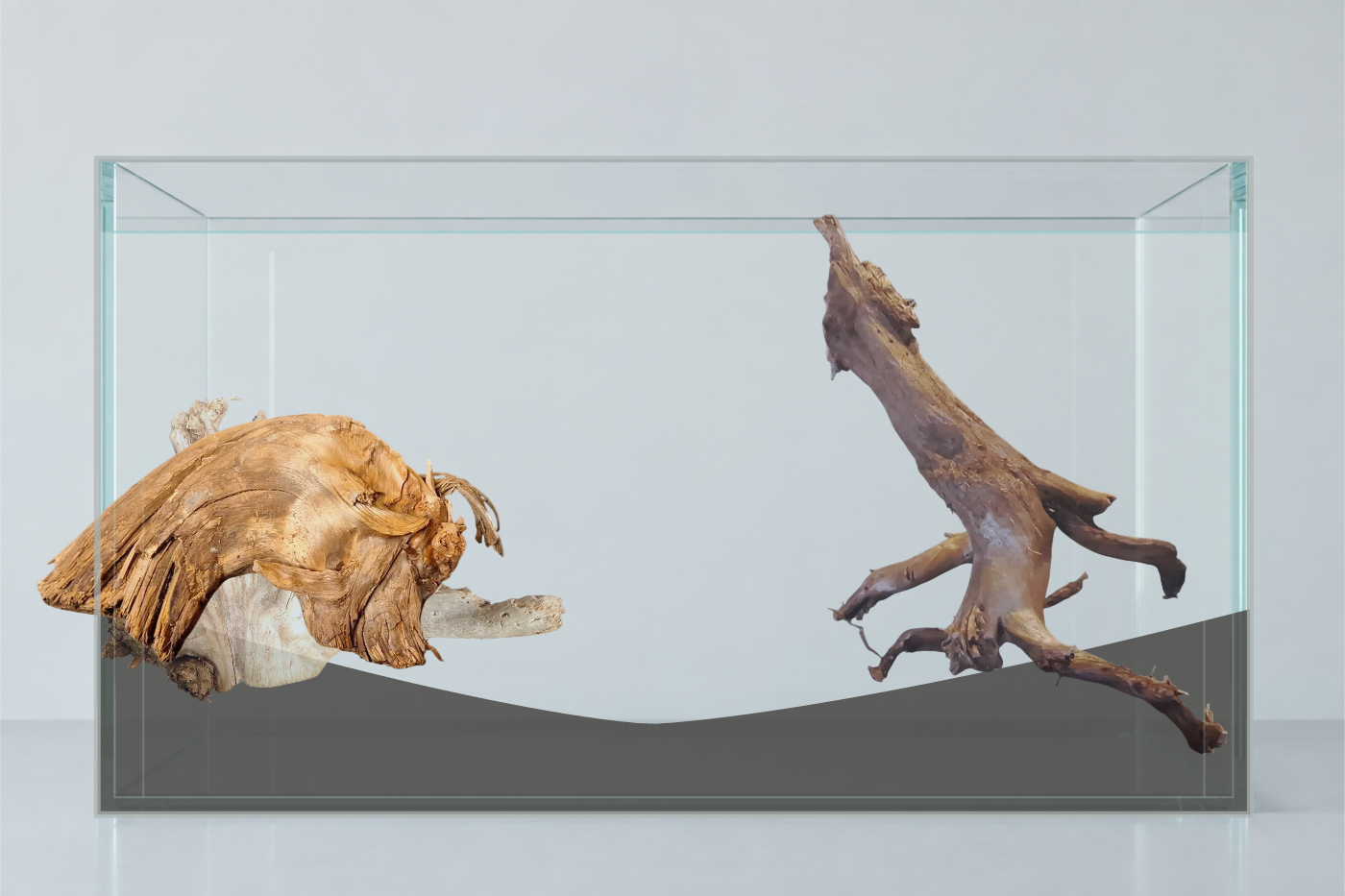 Rotplacering med AI · Flera produkter. Akvarium: 60 × 30 × 36 cm (bredd × djup × höjd). Rötter: P032618, P152619, P122621.