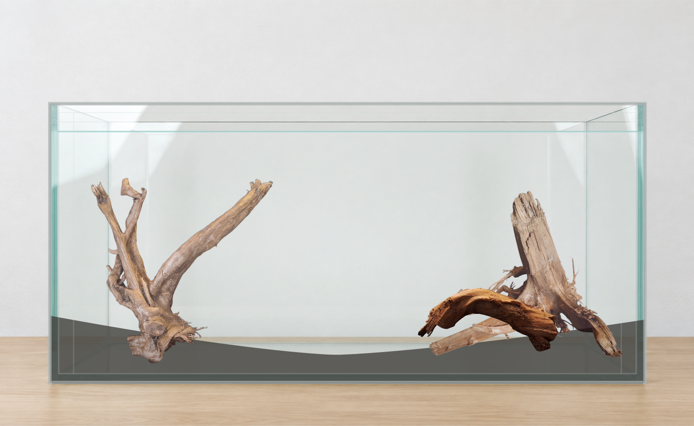 Rotplacering med AI · Flera produkter. Akvarium: 100 × 40 × 50 cm (bredd × djup × höjd). Rötter: 042638, P102620, P122623.