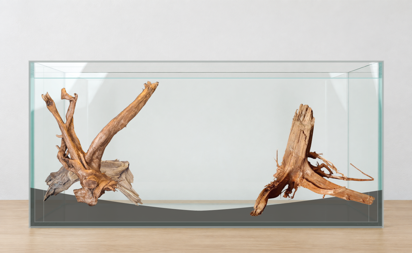 Rotplacering med AI · Flera produkter. Akvarium: 100 × 40 × 50 cm (bredd × djup × höjd). Rötter: 042638, P162619, P102620.