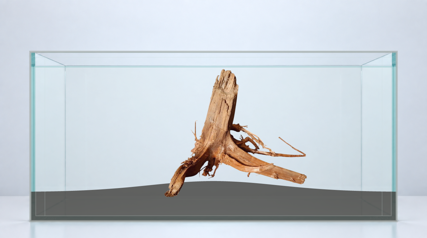 Wortelopstelling met AI. Aquarium: 90 × 45 × 45 cm (breedte × diepte × hoogte). Wortels: P102620.