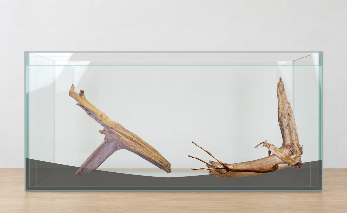 Wortelopstelling met AI · Meerdere producten. Aquarium: 100 × 40 × 50 cm (breedte × diepte × hoogte). Wortels: P222618, P252619, P242620.
